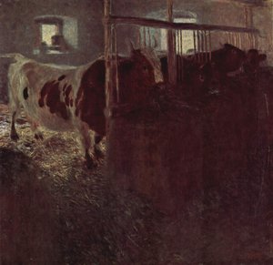 Vaches dans l